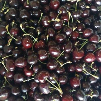 American River Cherry Company - Fruits & Veggies Near Me - Placerville, California