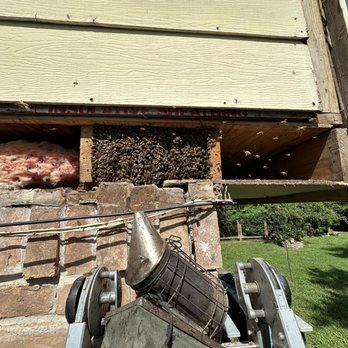 Raul The Bees Guy - That things jam packed full of angry bees. - Pest Control Near Me