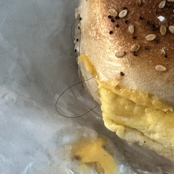 O'Bagel - Egg & Cheese - Breakfast & Brunch Near Me - Hoboken, New Jersey