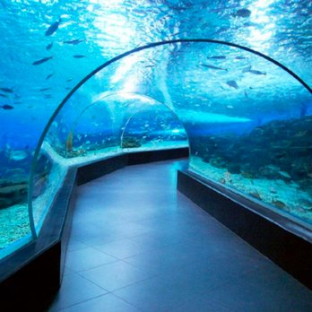 Manila Ocean Park - Aquariums Near Me - Manila, NCR Manila Ocean Park - Aquariums Near Me - Manila, NCR