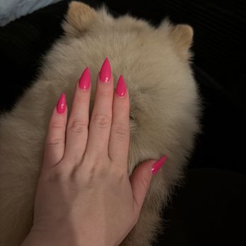 Luxury Nails & Spa - Grace's nails on the dog. - Nail Salons Near Me - Huntersville, North Carolina