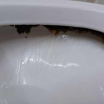 Best Way Inn - Mold in the commode Room 109 - Rest Stops Near Me - Houston, Texas Best Way Inn - Mold in the commode Room 109 - Rest Stops Near Me - Houston, Texas