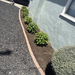 650 Gardeners