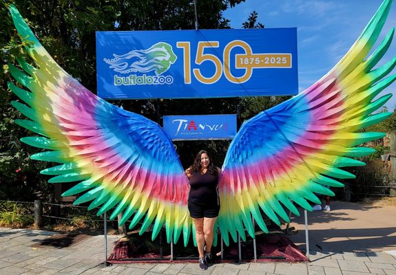 The Buffalo Zoo by null