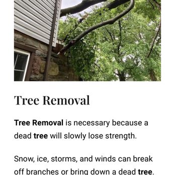 Claus Landscaping - a picture of a tree removal - Landscaping Near Me Claus Landscaping - a picture of a tree removal - Landscaping Near Me