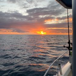 Ham'r Time Sport Fishing Charter - A picture is worth a thousand words!Tail