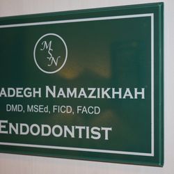 Sadegh M Namazikhah, DMD MSEd FICD - Essential Endodontics