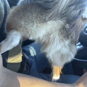 Petco - Pet Stores Near Me - Redondo Beach, California