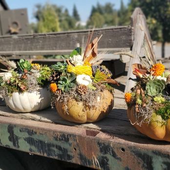 Park Winters Flower Farm - Our completed beauties - Pick Your Own Farms Near Me - Winters, California