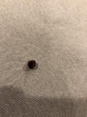 Taco Time NW by null