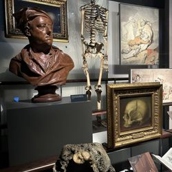 Hunterian Museum