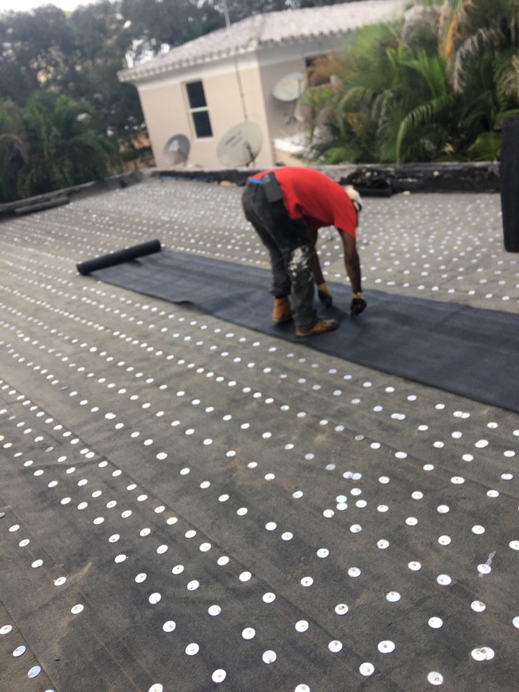 Slide of Tree Of The World Roofing