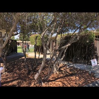 Contenta Inn - Hotels Near Me - Carmel Valley, California