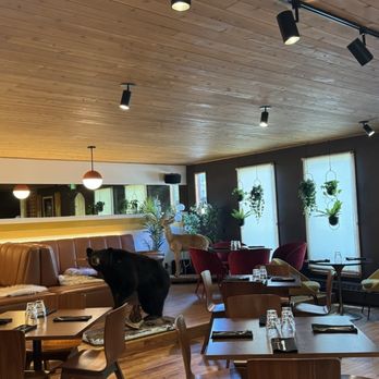 A Frame Club - Inside - Hotels Near Me - Winter Park, Colorado