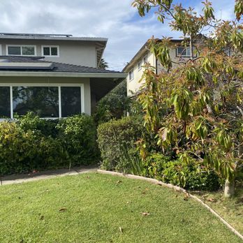 Emerald View Tree Service - After removal - Tree Services Near Me - San Jose, California