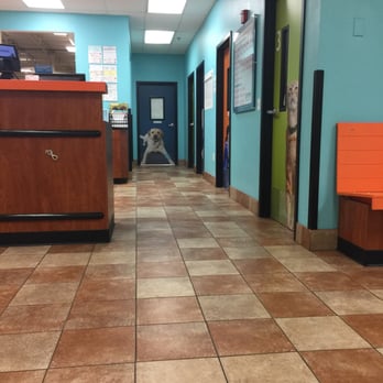 PetSmart - Snapshot from the waiting room - Pet Training Near Me - Orlando, Florida