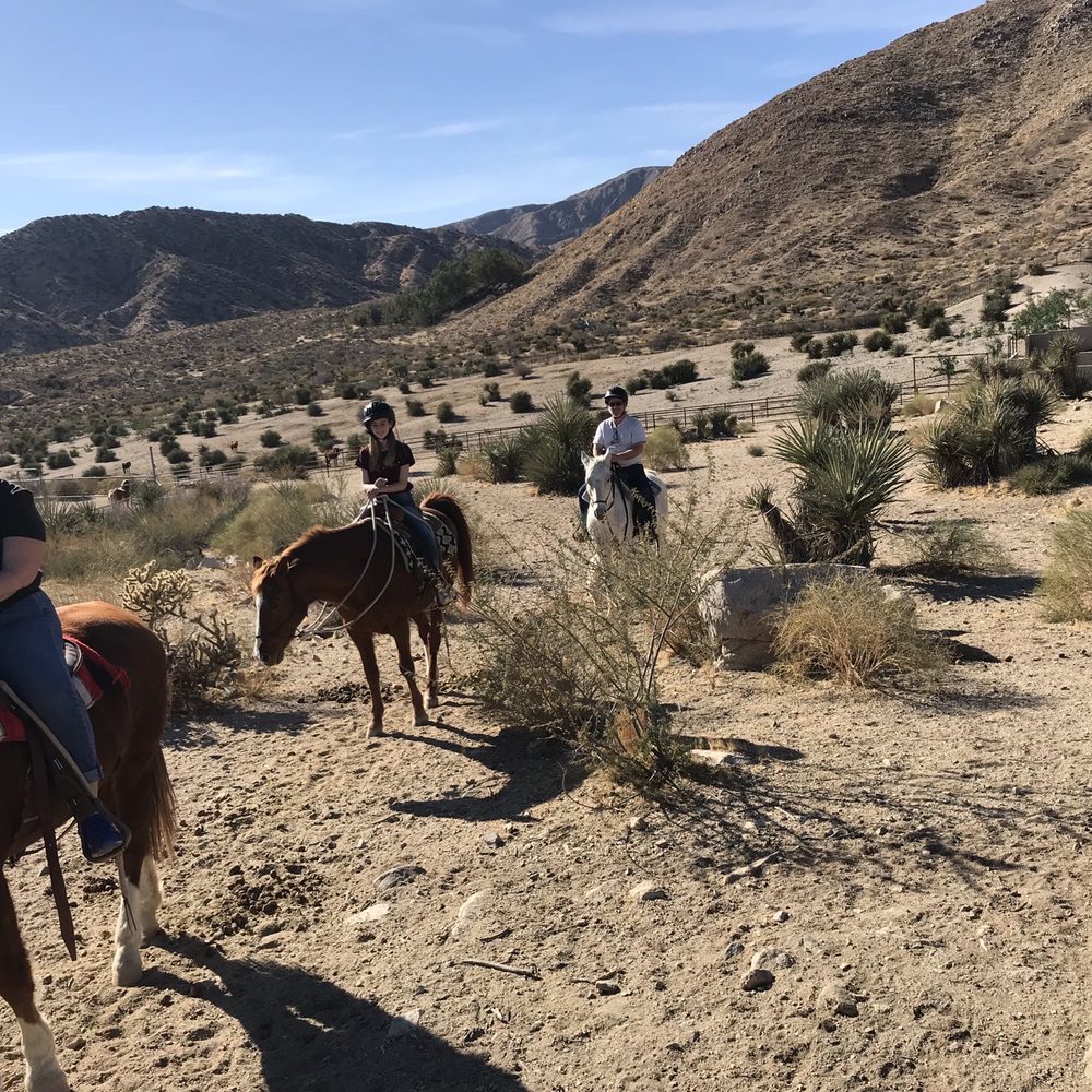 Crazy Horse Ranch - Horseback Riding Near Me - Morongo Valley, California Crazy Horse Ranch - Horseback Riding Near Me - Morongo Valley, California