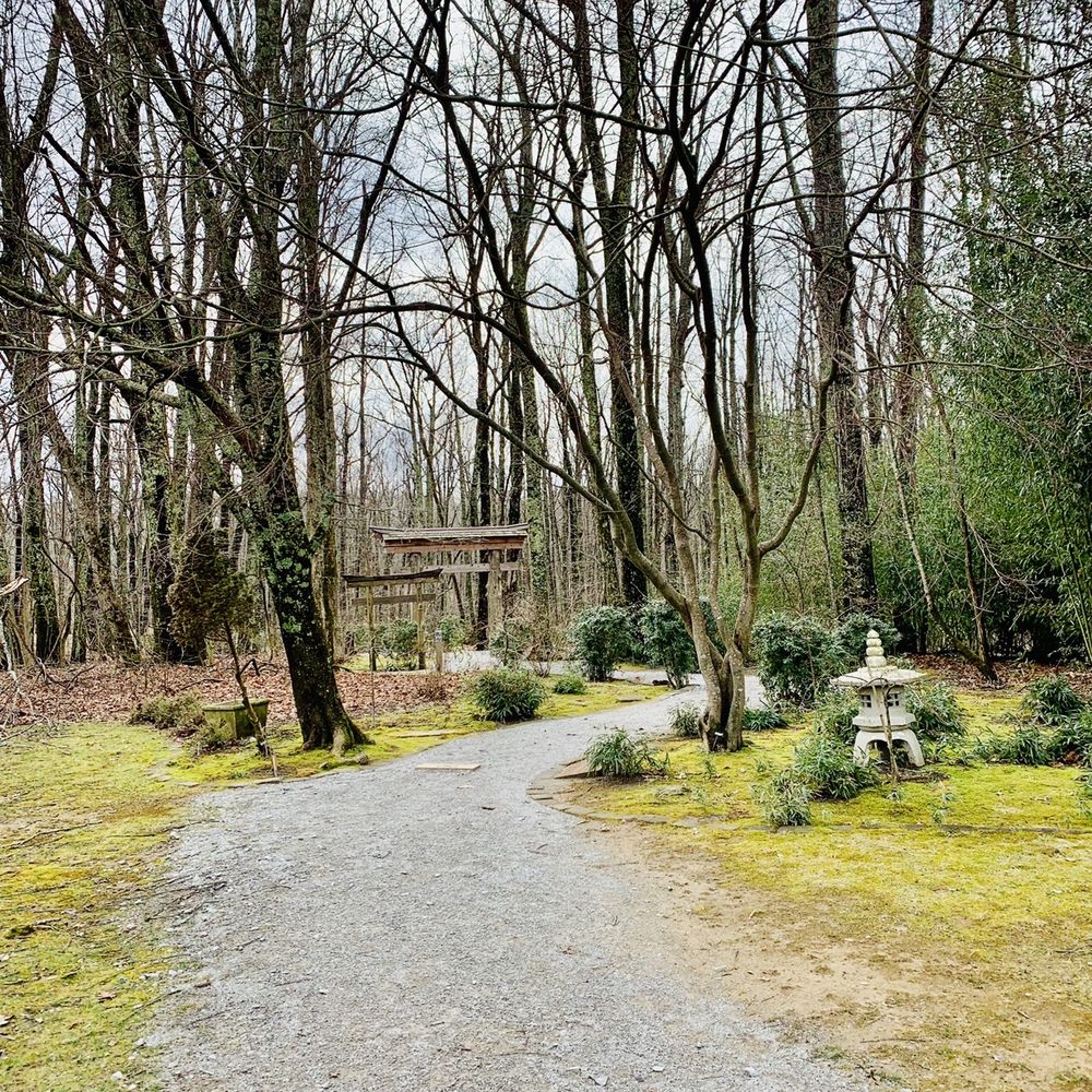 Monte Sano State Park - Parks Near Me - Huntsville, Alabama Monte Sano State Park - Parks Near Me - Huntsville, Alabama