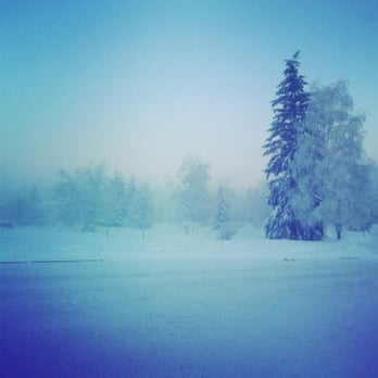Wedgewood Resort - Resorts Near Me - Fairbanks, Alaska