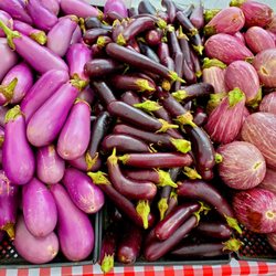 Farm grown varieties of eggplant!  8/14/2019