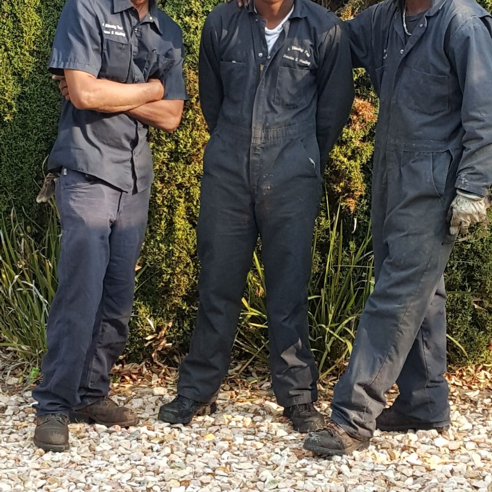 A Blessing Tree Service & Hauling - David on your left and his crew - very quick and very thorough. Love this service! - Tree Services Near Me A Blessing Tree Service & Hauling - David on your left and his crew - very quick and very thorough. Love this service! - Tree Services Near Me