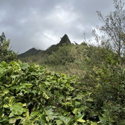 Aloha Circle Island Tours