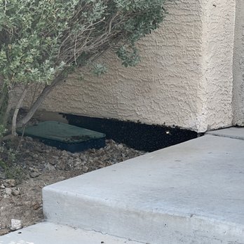Blue Fire Pest Control - Pest Control Near Me - Las Vegas, Nevada Blue Fire Pest Control - Pest Control Near Me - Las Vegas, Nevada