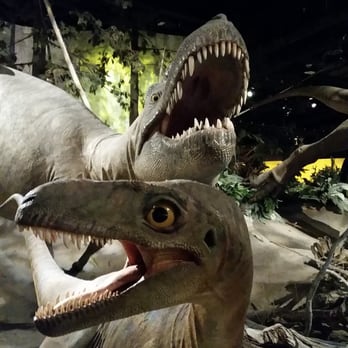 Royal Tyrrell Museum - We enjoyed our visit to the Royal Tyrell Museum - Museums Near Me - Drumheller, Alberta
