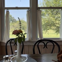 Lost Acres Orchard - Table with a view (and lemonade)