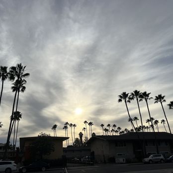 Caribbean Pleasure - palm trees in a parking lot - Caribbean Near Me - San Diego, California Caribbean Pleasure - palm trees in a parking lot - Caribbean Near Me - San Diego, California