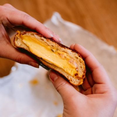 Starter Bakery by null