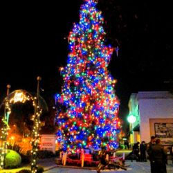 Paramount Tree Lighting