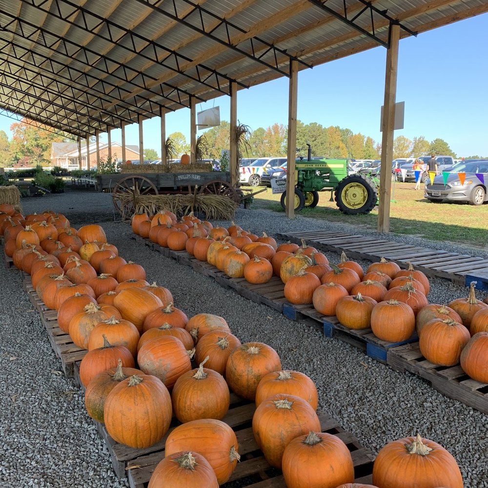 Phillips Farms - Farmers Market Near Me - Cary, North Carolina Phillips Farms - Farmers Market Near Me - Cary, North Carolina