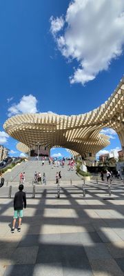 Setas de Sevilla by null