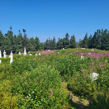 Salvage Trails - Hiking Near Me
