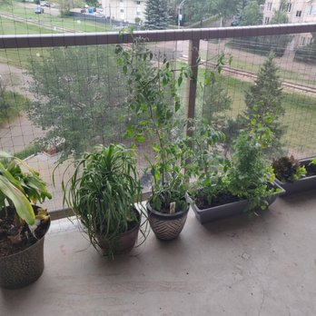 Lord Strathcona Manor - Apartments Near Me - Edmonton, Alberta