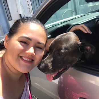 Aloha Mobile Auto Glass - Auto Glass Services Near Me - Honolulu, Hawaii Aloha Mobile Auto Glass - Auto Glass Services Near Me - Honolulu, Hawaii