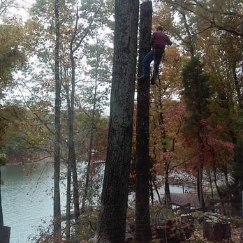 Apex Outdoor Tree Services - Tree Services Near Me Apex Outdoor Tree Services - Tree Services Near Me