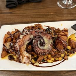 Octopus Octopus