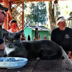 Pana-Vista Lodge - The PanaVista dock kitty.
