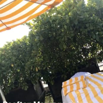 South Beach Massage and Bodywork - ROOFTOP massage - Massage Near Me - Miami Beach, Florida