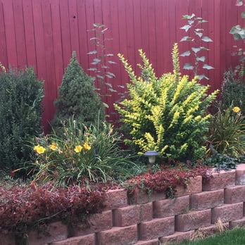 Starlight Restoration - Painters Near Me - Lakewood, Colorado Starlight Restoration - Painters Near Me - Lakewood, Colorado