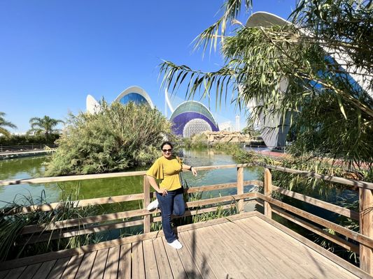 Oceanogràfic València by null