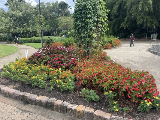 City Botanic Gardens by null