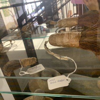 Madera County Main Library - Brushes made from the soap root - Libraries Near Me - Madera, California