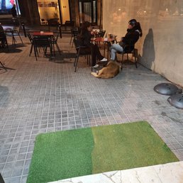 Outside Outside