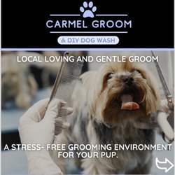 Carmel Groom & DIY Dog Wash - NO CAGE, NO STRESS DOG GROOMING