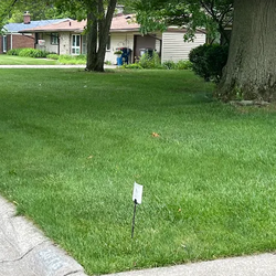 TruGreen Lawn Care - Keep weeds from crowding your grass with TruGreen's lawn weed control in Toledo, OH, and nearby Sylvania.