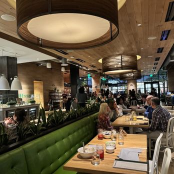 True Food Kitchen - Cozy dining area - Vegetarian Near Me - Plano, Texas