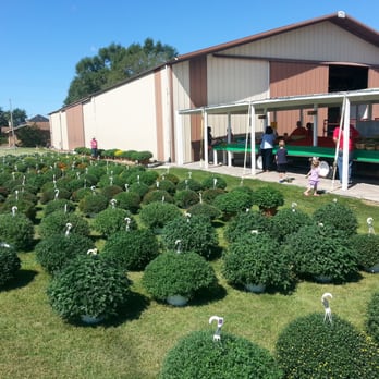 Just Picked - a lot of bushes in front of a building - Farmers Market Near Me - Tinley Park, Illinois Just Picked - a lot of bushes in front of a building - Farmers Market Near Me - Tinley Park, Illinois